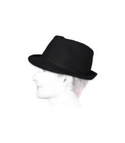 Stetson Teton Noir -Monde Chapeau teton noirChapeau20trilby20stetson